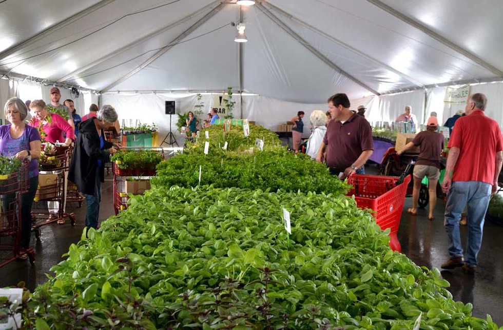 Plant sale supports Botanical Gardens