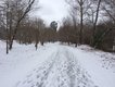 Lakeshore Trail in snow