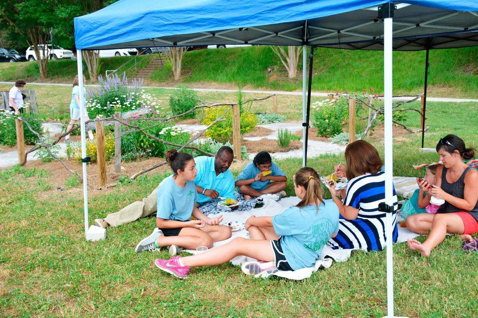 Seed to Plate Picnic