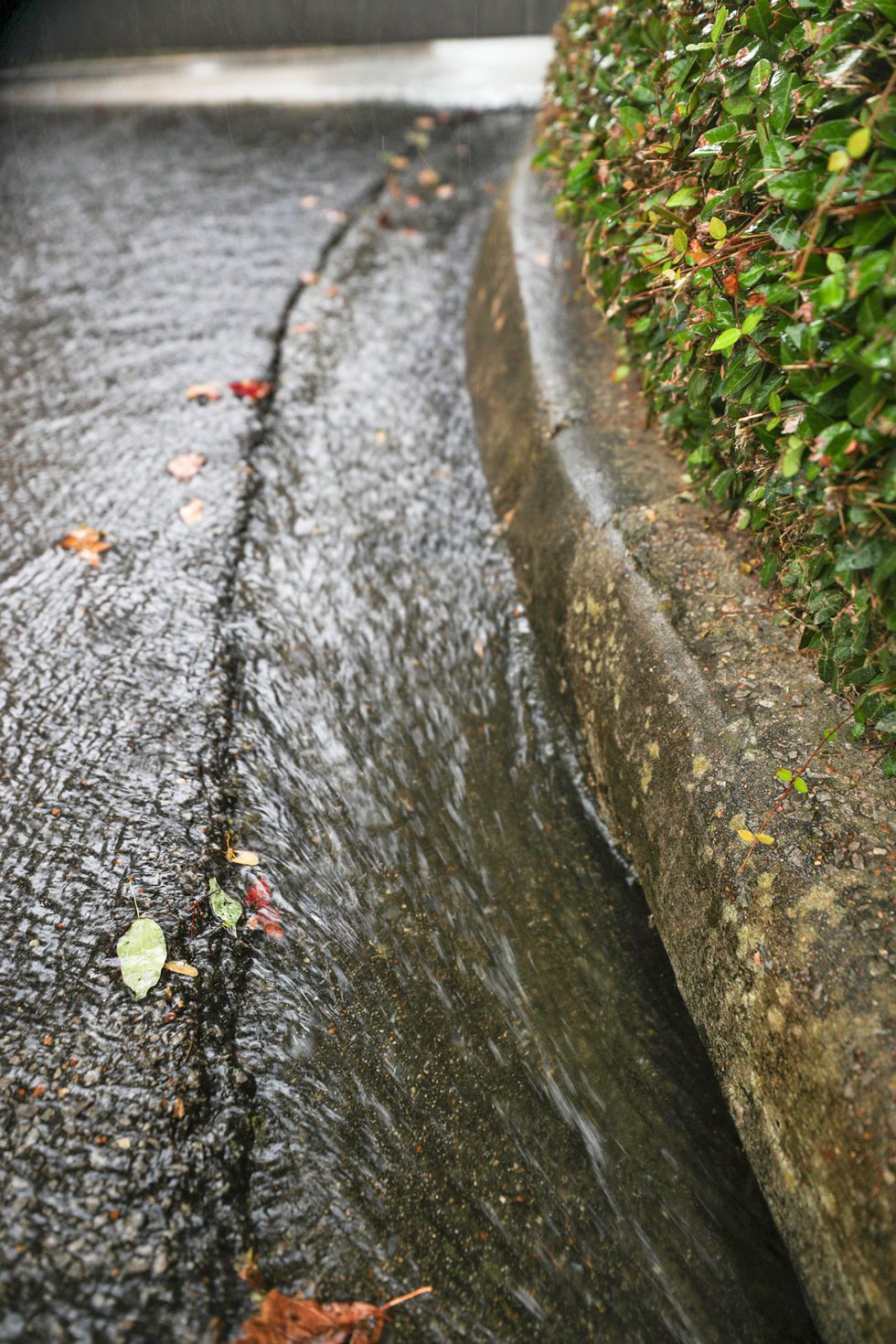 COVER---Stormwater_SNF_0146.jpg