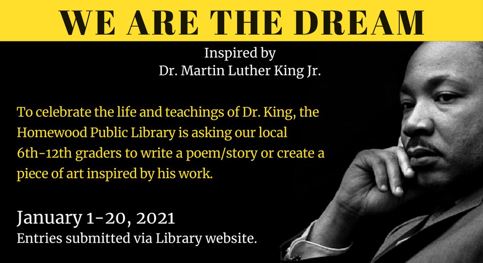 _We Are the Dream Website Banner (1).png