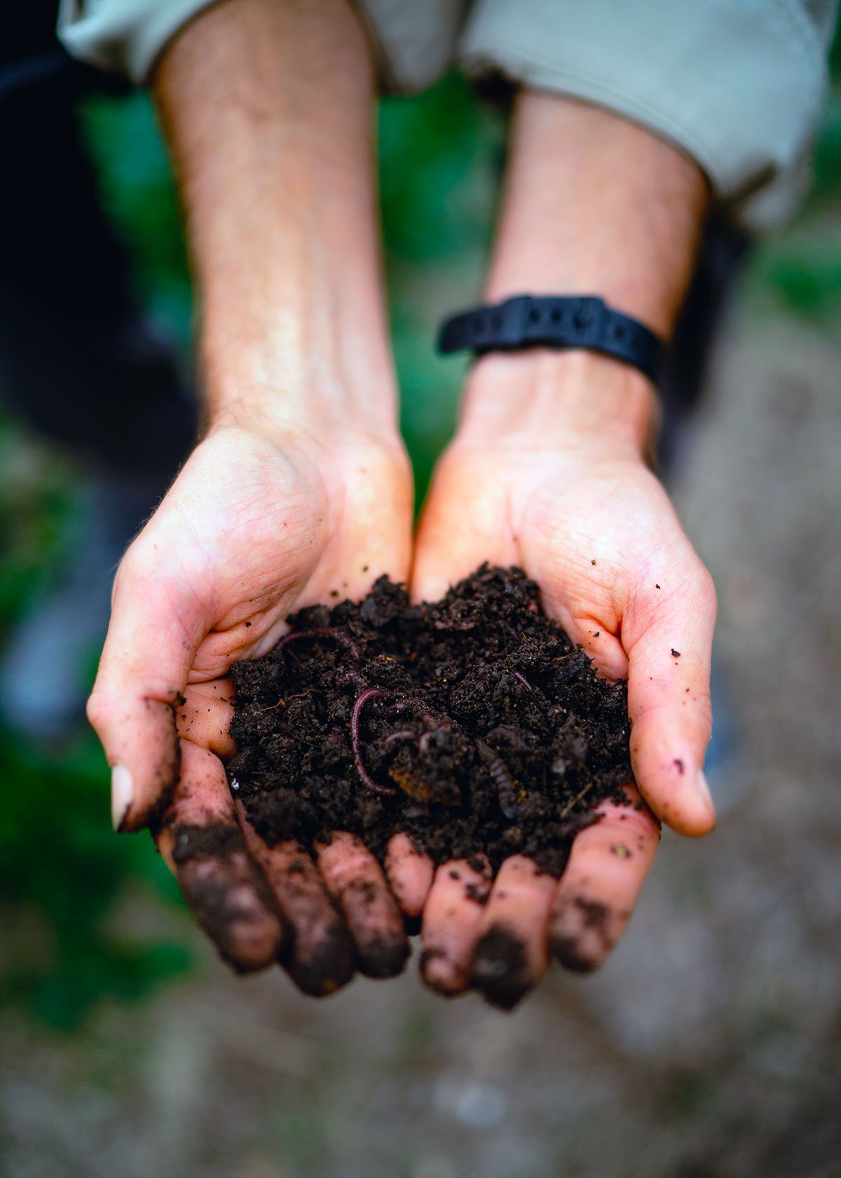 Action of the Month: Try your Hand at Home Composting – Thompson