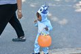 241020_HomewoodLibraryTrunkorTreat-14.jpeg